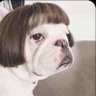 Hilarious Beings's profile picture