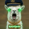 Crypto Llama profil fotoğrafı