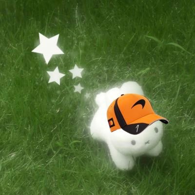 landoies's profile picture