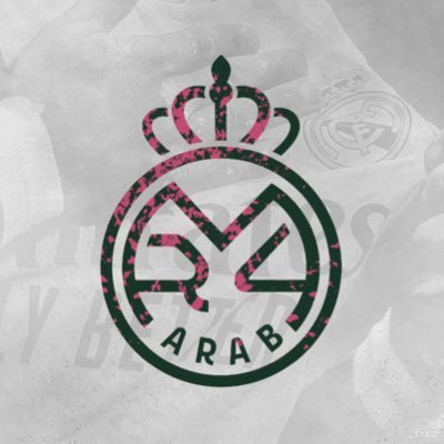 RM4Arab's profile picture