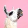 Profilbild von dave
