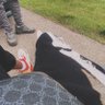 Фото профиля DaddyShawnn