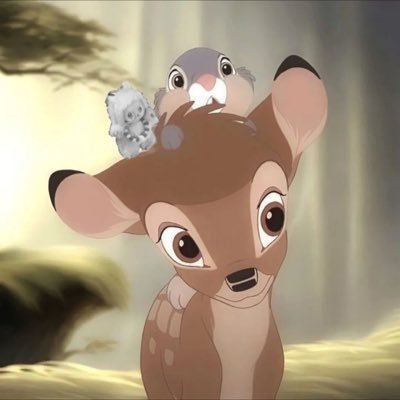 fefe's profile picture