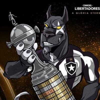 Botafogo Tá embalado hein's profile picture