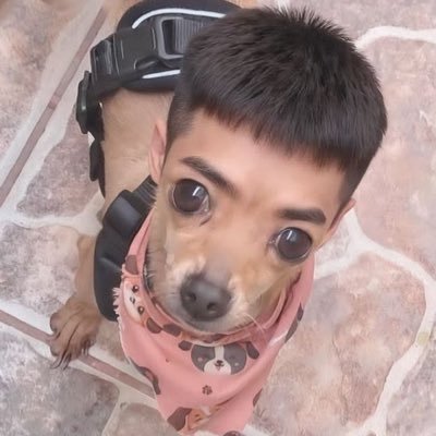 Central's profile picture