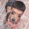 Profilbild von Central