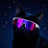 Profilbild von Bond🌠