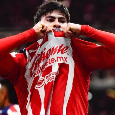 Hormiguismo34's profile picture