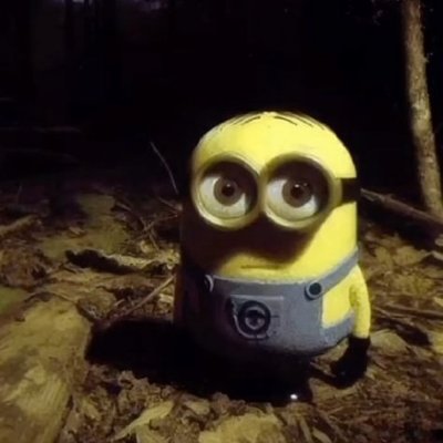 c's profile picture