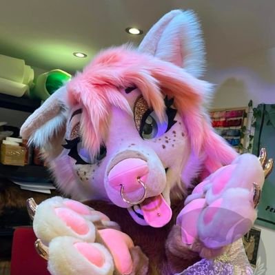 Moon Fawn's profile picture