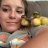 silly goose 的头像