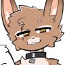 Profilbild von Rabbit