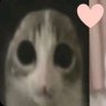 LAYLA profil fotoğrafı