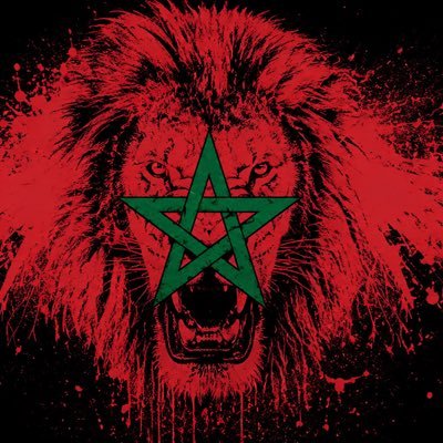 Morocco News 🇲🇦's profile picture