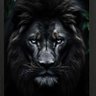 Black Lion🤴🏾🖤⚖ 的头像