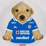 Profilbild von Avocat Blau V | Toro HATE ACCOUNT