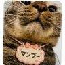 Фото профиля ちぎたん