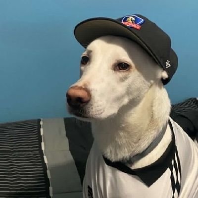 Na Cho Ne Ta ✪'s profile picture
