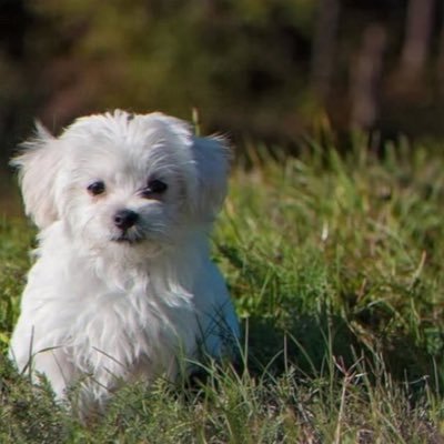 daniel's profile picture