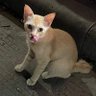 Itaari's profile picture
