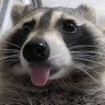 Profilbild von Kratosis