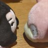ババコンガ 的头像