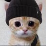 Glombo's profile picture