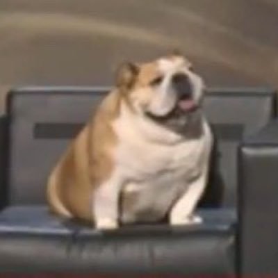 elliot's profile picture