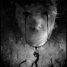 Klippen_Hamar's profile picture