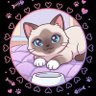 Фото профиля びび🐱♥️🌈✨🥇👑Hawks今年も日本一🥇✨全新❣️🏟️✨ギータLove