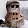 Biti's profile picture