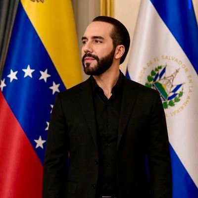NayibBukeleDice's profile picture