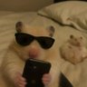 bacon's profile picture