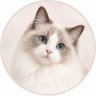 Profilbild von ねこばくだん