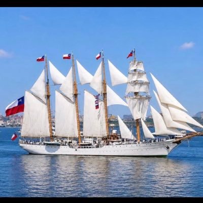 La Dama Blanca de Chile 🇨🇱's profile picture