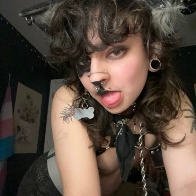 lostdog2004's profile picture