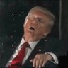 Donny 的头像