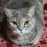 Profilbild von Cali