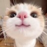 Profilbild von NUHU