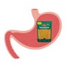 Aloo Bhujia Digester's profile picture