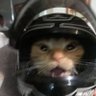 ale's profile picture