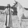 يوسف المطيري's profile picture