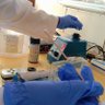 Profilbild von Laboratory medicine
