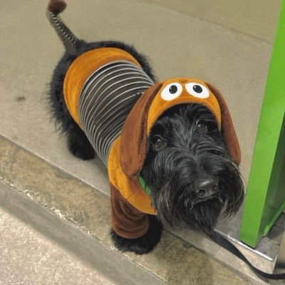 icyJL's profile picture