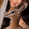 نون🇸🇦❤️🦌's profile picture