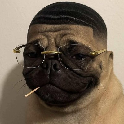 MOwino81586's profile picture