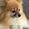 ðŸã±ããªðŸ's profile picture