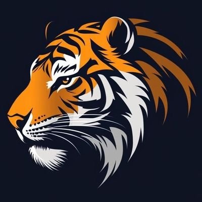 LaEraDelTIGRE's profile picture