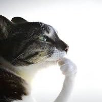 WaltuhMeth's profile picture