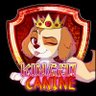 👑𝐊𝐂🐶 🎂𝟝/𝟚𝟠🎂 profil fotoğrafı